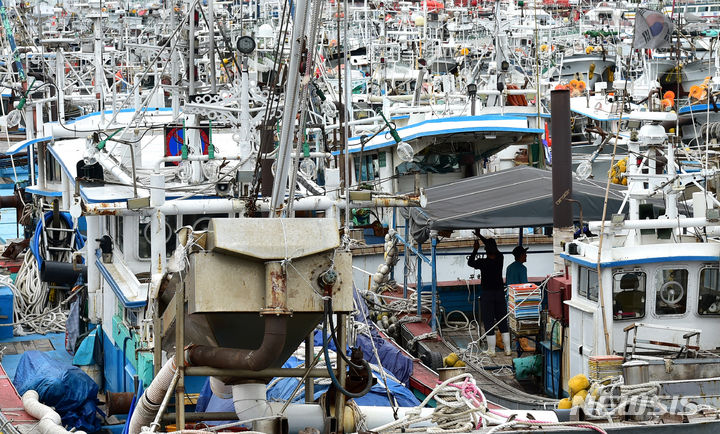 [포항=뉴시스] 이무열 기자 = 제6호 태풍 '카눈'이 북상 중인 8일 오전 경북 포항시 북구 동빈내항에서 선원들이 어선 정박 상태를 점검하고 있다. 2023.08.08. lmy@newsis.com