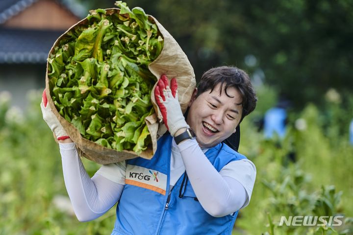 [서울=뉴시스] KT&G 잎담배 수확 봉사활동. (사진=KT&G 제공)