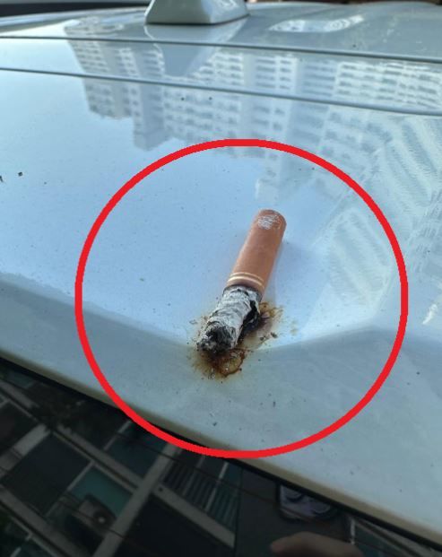 아파트 베란다에서 던진 것으로 추정되는 담배 꽁초 (사진=온라인 커뮤니티 '뽐뿌' 캡처) *재판매 및 DB 금지