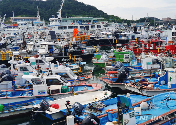 [목포=뉴시스] 박상수 기자 = 제6호 태풍 '카눈'이 북상하면서 9일 오전 전남 목포 북항 선착장에는 어선과 여객 선들이 피항해 있다. 2023.08.09. parkss@newsis.com