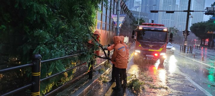 [부산=뉴시스] 이동민 기자 = 제6호 태풍 '카눈(KHANUN)'의 북상으로 부산 지역에 태풍경보가 발효된 가운데 10일 오전 부산 해운대구의 한 도로에 나무가 쓰러져 부산소방이 안전조치를 하고 있다. (사진=부산소방재난본부 제공) 2023.08.10. photo@newsis.com *재판매 및 DB 금지