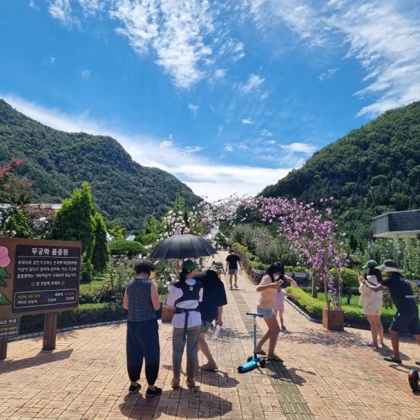 [완주=뉴시스] 전북 완주군 ‘나라꽃 무궁화 완주축제'  *재판매 및 DB 금지