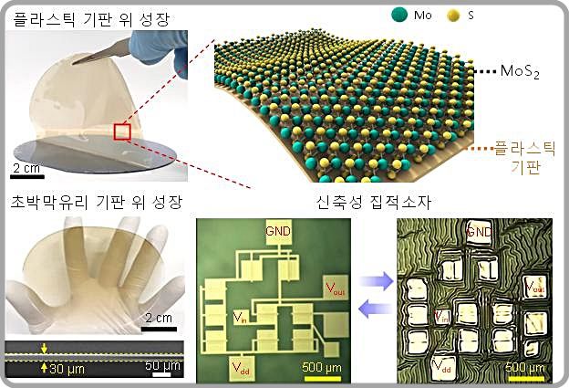 [대전=뉴시스] 유연 기판 위에서 직접 성장된 MoS2와 이를 이용한 신축성 집적소자 제조 연구도.(사진=연세대 안종현 교수 제공) *재판매 및 DB 금지