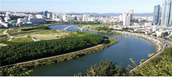 울산보건환경연구원, 27년간 태화강 수질 분석 '좋은 등급'