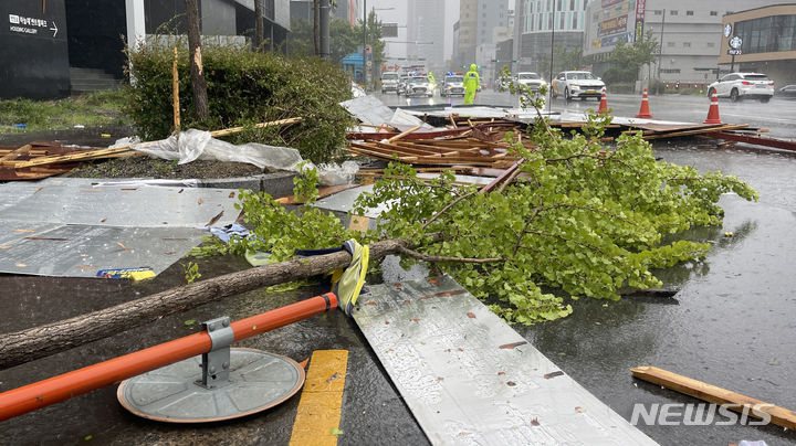 [울산=뉴시스] 배병수 기자 = 제6호 태풍 '카눈(KHANUN)'이 한반도로 북상한 10일 울산 남구 한 모델하우스 간판과 나무가 강풍으로 넘어져 있다. 2023.08.10. bbs@newsis.com