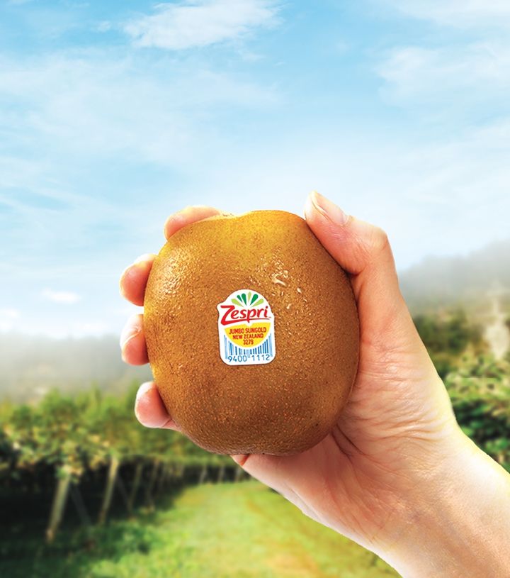 점보 사이즈 키위. (사진=제스프리 제공) *재판매 및 DB 금지