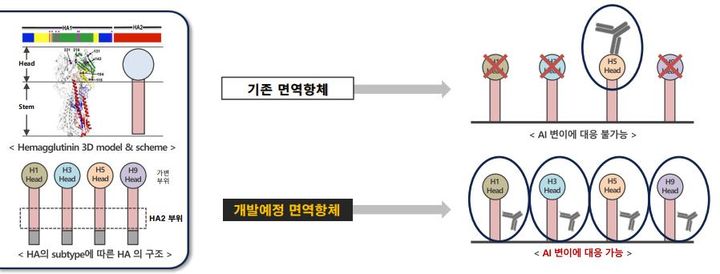 [서울=뉴시스] 애드바이오텍은 모든 유형의 변이에 대응 가능한 조류인플루엔자(AI) 바이러스 예방용 면역 항체 개발에 나선다고 14일 밝혔다. (사진=애드바이오텍 제공) 2023.08.14. photo@newsis.com  *재판매 및 DB 금지