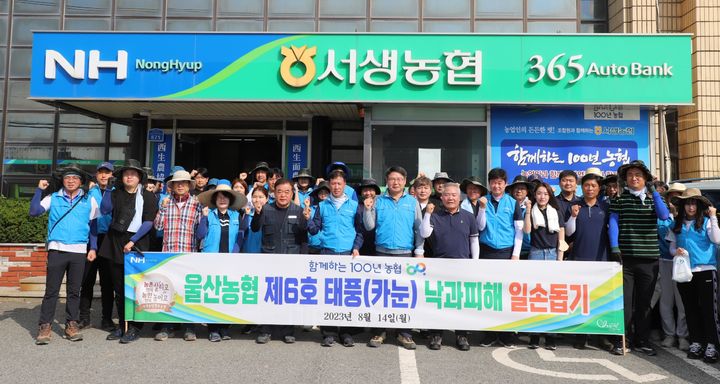 [울산=뉴시스] 유재형 기자 = 울산농협(본부장 김창현)은 14일 제6호 태풍 카눈으로 피해를 입은 울주군 서생면 농가에서 ‘낙과 배 수거 농촌일손돕기’ 활동을 했다고 밝혔다. 2023.08.14. (사진= 울산농협 제공)photo@newsis.com *재판매 및 DB 금지