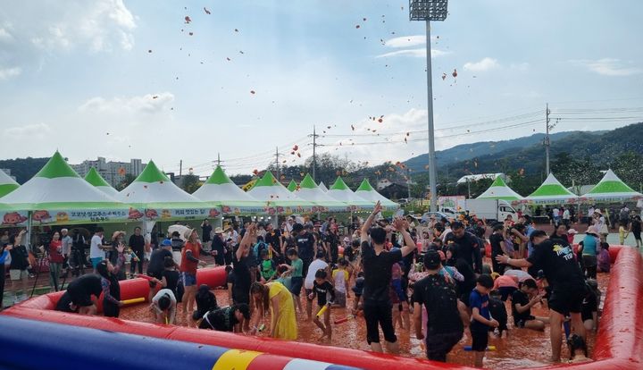 횡성군 둔내고랭지토마토 축제 '토마토 풀장' *재판매 및 DB 금지