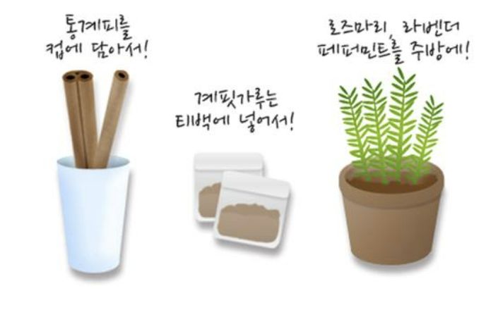 [서울=뉴시스] 17일 식품의약품안전처에 따르면 여름철 흔히 볼 수 있는 초파리는 계피나 허브를 싫어해 주방에 통계피, 로즈마리 등을 두면 초파리를 쫓는데 도움이 된다. (사진=식약처 제공) 2023.08.17. photo@newsis.com *재판매 및 DB 금지