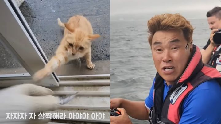 유튜브 채널 '남해동광호선장 박형일'에 등장하는 '펀치 고양이'와 박형일씨.(사진='남해동광호선장 박형일' 영상 캡처) 2023.08.16 *재판매 및 DB 금지