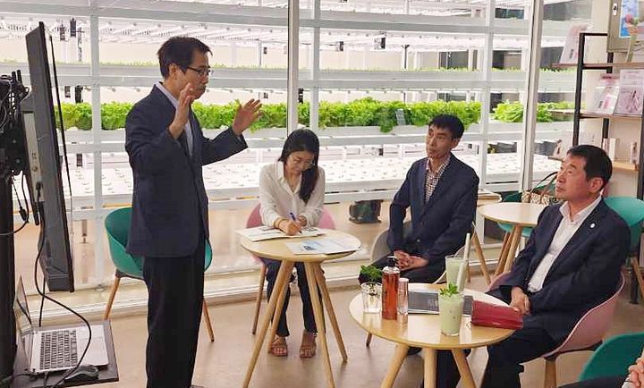 [증평=뉴시스] 강신욱 기자 = 이재영 충북 군수가 16일 서울시 강서구 농림축산식품부 지정 도시형 스마트팜 선도농가인 해피팜협동조합을 방문해 관계자로부터 스마트팜 운영 방안을 듣고 있다. (사진=증평군 제공) 2023.08.16. photo@newsis.com *재판매 및 DB 금지