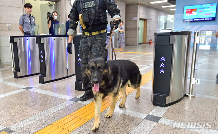 [대구=뉴시스] 이무열 기자 = 대구시청 폭파 예고 신고가 접수돼 16일 대구시청 동인청사에서 경찰특공대원과 수색견이 폭발물 수색작업을 벌이고 있다. 사진은 기사 내용과 관계없음. 2023.08.16. lmy@newsis.com