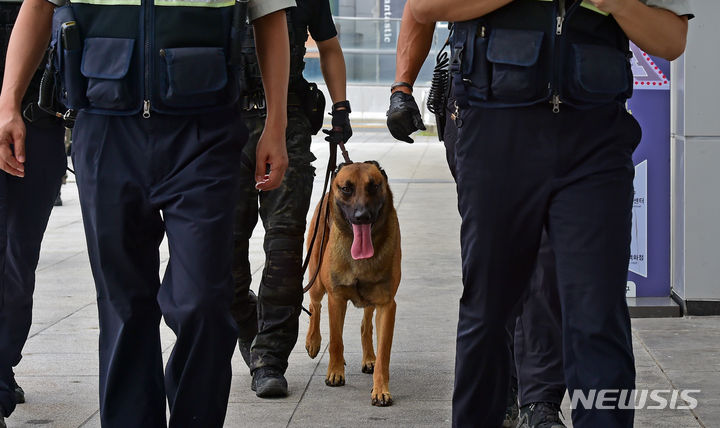 [대구=뉴시스] 이무열 기자 = 고속철도시설 폭발 테러 협박 이메일이 접수된 17일 오전 동대구역에서 경찰특공대와 탐지견이 폭발물 수색을 하고 있다. 2023.08.17. lmy@newsis.com