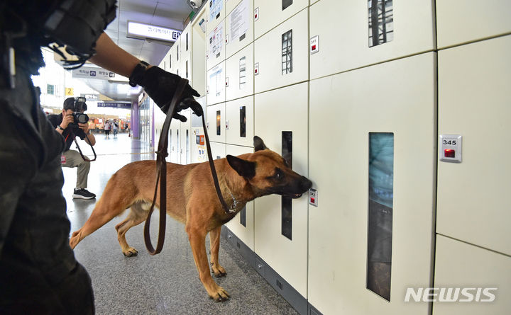 [대구=뉴시스] 이무열 기자 = 고속철도시설 폭발 테러 협박 이메일이 접수된 17일 오전 동대구역에서 경찰특공대와 탐지견이 폭발물 수색을 하고 있다. 2023.08.17. lmy@newsis.com