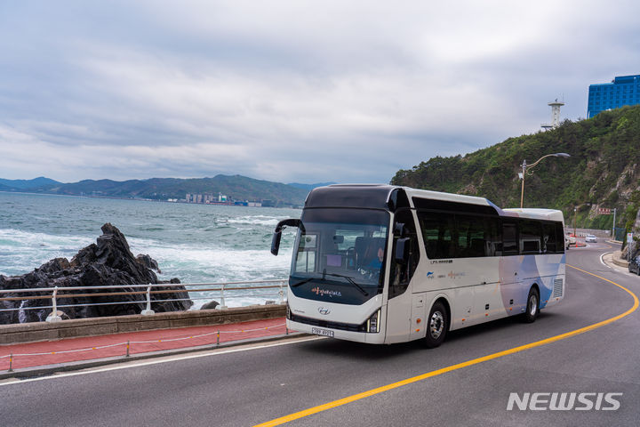 [서울=뉴시스]서울시가 휠체어 이용 장애인의 문화체험·관광을 위해 중장거리 이동을 지원하는 '장애인 버스' 이용 프로그램을 대폭 확대했다고 22일 밝혔다. (사진=서울시 제공). 2023.08.22. photo@newsis.com