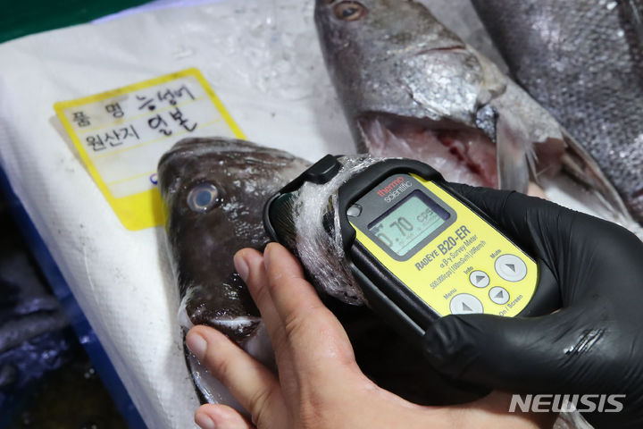 [서울=뉴시스] 권창회 기자 = 지난 22일 오후 서울 동작구 노량진 수산시장에서 관계자가 일본산 수산물에 대해 방사능 검사를 하고 있다. 2023.08.22. kch0523@newsis.com