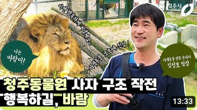 바람이 유튜브 (사진=유튜브 채널 '바람이' 캡처) *재판매 및 DB 금지