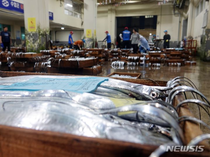 [제주=뉴시스] 오영재 기자 = 제주시 한 수협 위판장. (사진=뉴시스DB) oyj4343@newsis.com 