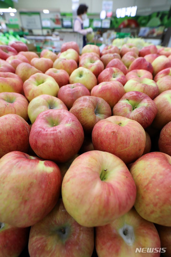 [서울=뉴시스] 김명년 기자 = 올해 태풍과 장마, 폭염의 영향으로 사과 가격이 폭등하면서 추석을 앞둔 소비자들의 고민이 깊어지고 있다. 27일 오전 서울시내 한 대형마트에 사과가 진열돼 있다. 2023.08.27. kmn@newsis.com