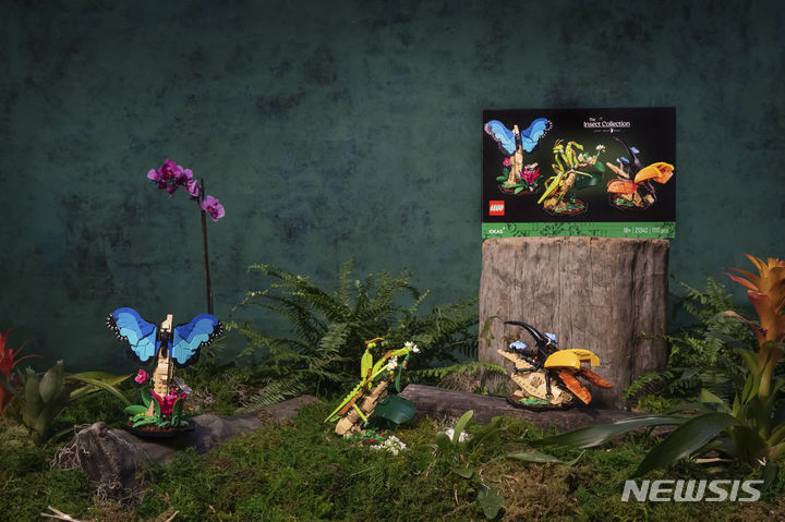[서울=뉴시스] 레고 아이디어 곤충 컬렉션. (사진=레고코리아 제공) 2023.08.29. photo@newsis.com