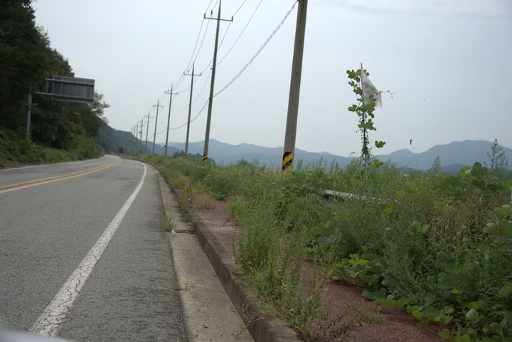 [공주=뉴시스] 공주시와 부여군을 연결하는 백제큰길 옆에 풀이 무성하게 자라 있다. *재판매 및 DB 금지