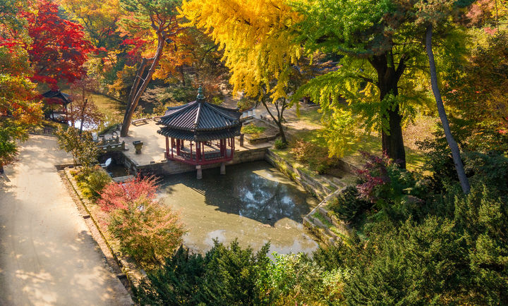 [서울=뉴시스] 창덕궁 후원 존덕지 풍경(사진=문화재청 제공) 2023.08.30. photo@newsis.com *재판매 및 DB 금지