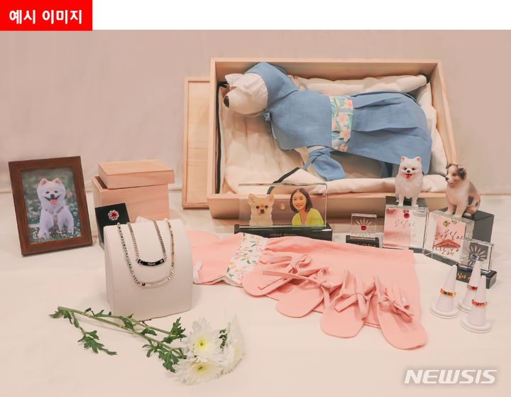 [서울=뉴시스] 보람상조가 반려동물 전용 장례상품 '스카이펫'을 출시했다. (이미지=보람상조 제공) 2023.08.30. photo@newsis.com