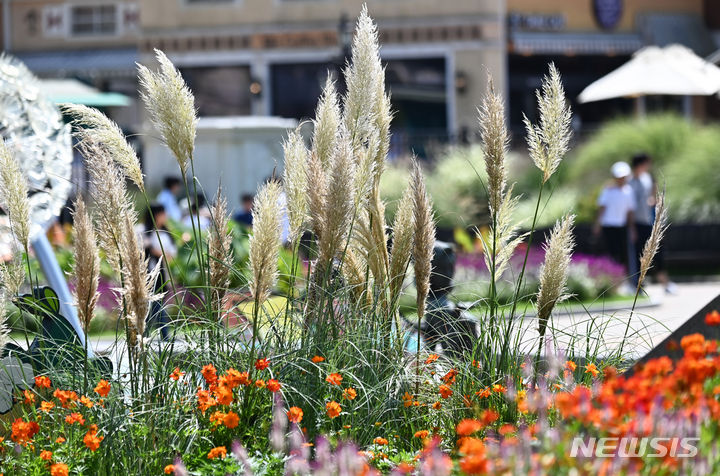 울산 낮부터 구름 많음…최고기온 25도