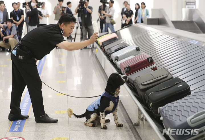 [인천공항=뉴시스] 해외 마약상과 공모해 수천만원에 달하는 필로폰을 밀수하려 한 혐의로 재판에 넘겨진 30대 남성이 항소심에서도 징역형을 선고받았다. 사진은 기사내용과 무관 2023.09.27 photo@newsis.com