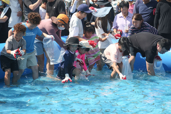 제21회 자연산 전어 꽃게 축제장에서 관람객들이 맨손으로 전어를 잡는 체험을 하고 있다. 2023. 09. 03 *재판매 및 DB 금지