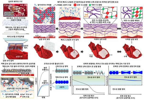 심장 패치 기술 (사진=성균관대 제공) *재판매 및 DB 금지