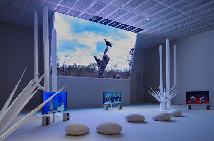 백년 여행기 One Hundred Years of Travels 2023 (사진 소농지 photograph by sonongji) *재판매 및 DB 금지