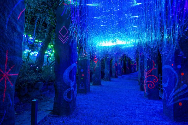 [통영=뉴시스] 신정철 기자= 경남 통영시 남망산공원에 조성된 '디피랑'이 한국관광공사가 선정하는 9월 추천 가볼 만한 곳에 선정 됐다.사진은 디피랑의 야간운영 모습.(사진=통영시 제공).2023.09.05. photo@newsis.com *재판매 및 DB 금지