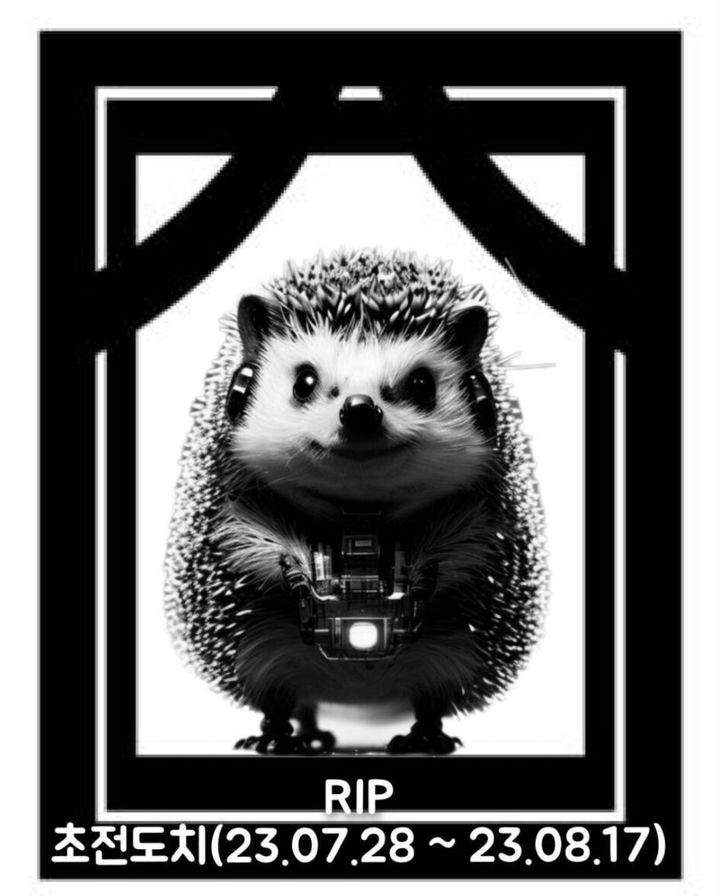 다시 들썩이는 초전도체주…개미들 "탈출시기" vs "계속간다"