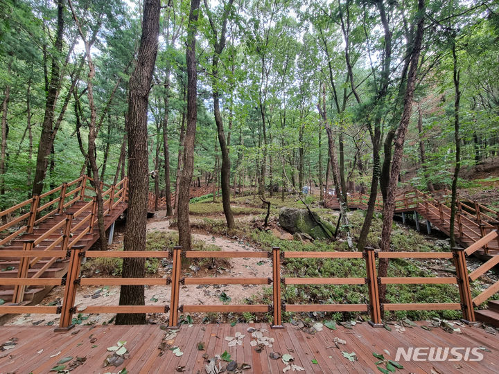  용인시가 조성한 맨발 산책로 