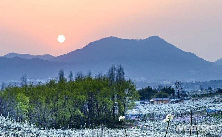 나주 금성산 산정부 57년 만에 '도민 품으로'