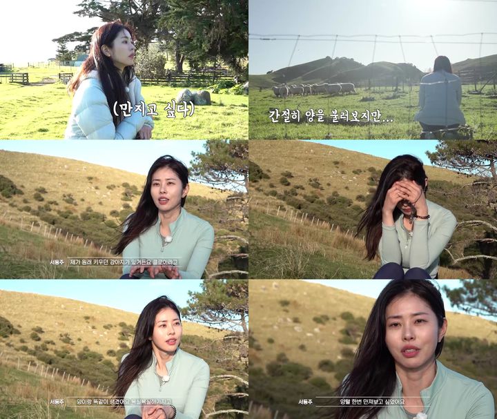 [서울=뉴시스] 9일 오후9시40분 방송되는 MBN '떴다! 캡틴 킴'에서는 개그맨 김병만·박성광, 배우 정일우·박은석, 변호사 겸 방송인 서동주가 뉴질랜드 '슬리퍼 아일랜드(SLIPPER ISLAND)'를 방문해 '대자연 속 파라다이스'를 만끽하는 모습이 공개된다. (사진=MBN '떴다! 캡틴 킴' 제공) 2023.09.09. photo@newsis.com *재판매 및 DB 금지