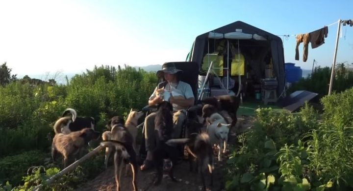 [서울=뉴시스]유튜브 채널 '무인도그'를 운영하고 있는 박지운(30)은 지난 2019년 부터 반려동물 13마리와 함께 하는 섬 생활 영상을 찍고 있다.(사진=유튜브'무인도그'캡처) 2023.09.11 photo@newsis.com *재판매 및 DB 금지