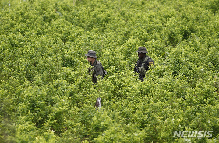 한국발 항공편 타고 코카인 밀수…美여성, 日 공항서 적발