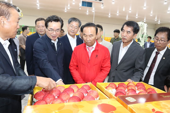 [보은=뉴시스] 안성수 기자 = 12일 정황근 농림축산식품부 장관이 충북 보은군과수거점산지유통센터를 방문해 사과 수확·선별·출하 현황 등 추석 성수품 수급 상황을 점검하고 있다. (사진=보은군 제공) 2023.9.12. photo@newsis.com *재판매 및 DB 금지