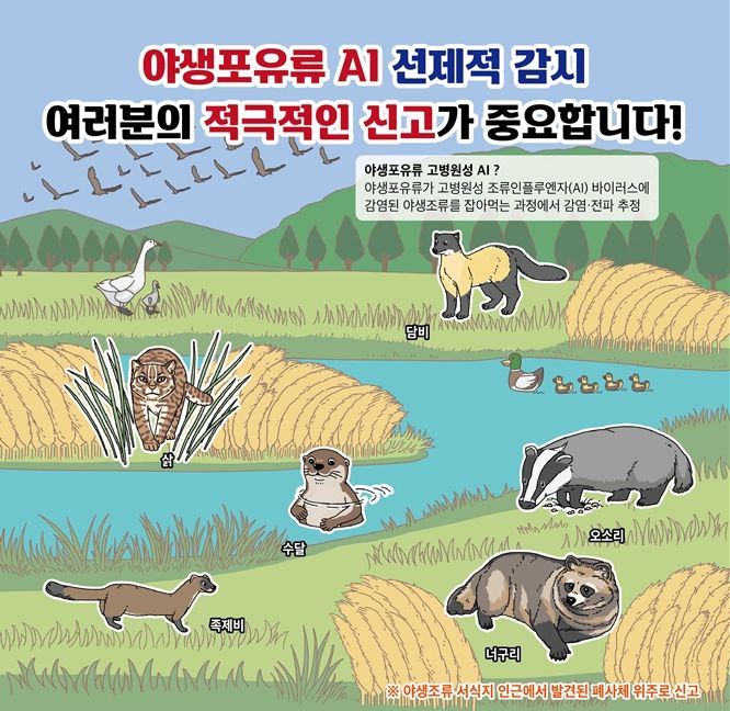 [서울=뉴시스]야생포유류 고병원성 조류인플루엔자(AI) 신고요령 홍보자료. (사진=국립야생동물질병관리원 제공) 2023.09.13.