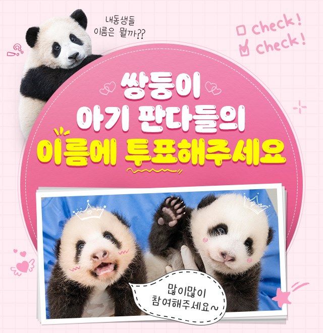 에버랜드 쌍둥이 판다 이름 공모전 (사진=에버랜드 제공) *재판매 및 DB 금지