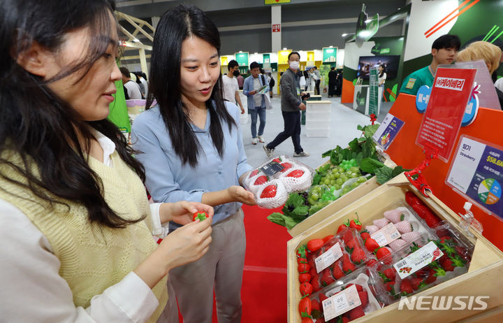 [서울=뉴시스] 최진석 기자 = 서울 양재동 aT센터에서 열린 '2023 대한민국 농업박람회' K푸드관에서 관람객들이 수출용 딸기 모형을 살펴보고 있다. 2023.09.14. myjs@newsis.com