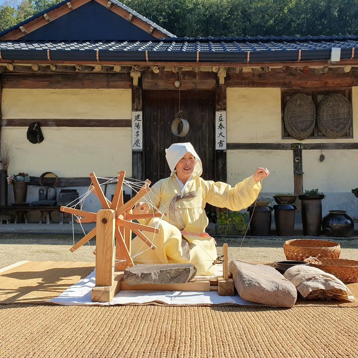 '안동포짜기' 공개행사에서 물레돌리기 및 가락만들기 과정을 시연하고 있다. (사진=안동시 제공) *재판매 및 DB 금지