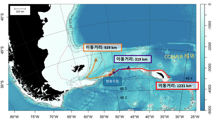 [부산=뉴시스] 위성전자표지 결과 파타고니아이빨고기(메로) 중·장거리 이동 경로 및 이동 거리 (그래픽=수과원 제공) *재판매 및 DB 금지