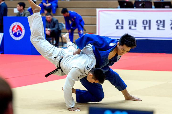 제51회 추계 전국 초중고 유도연맹전 경기 장면. (사진=제천시 제공) *재판매 및 DB 금지