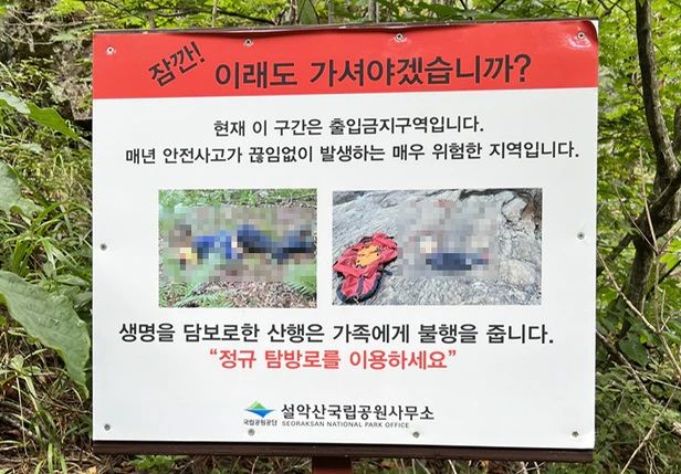 (사진=조선닷컴 캡처본) *재판매 및 DB 금지