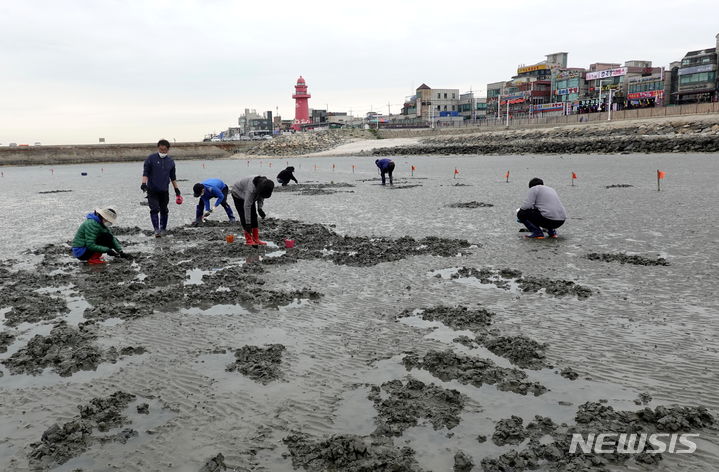 오이도 휴양마을 갯벌체험 프로그램 현장.