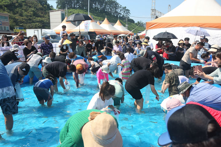 맨손 전어잡기 *재판매 및 DB 금지